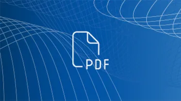 PDF icon