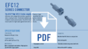 PDF icon